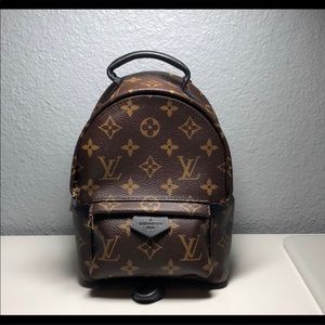 Louis Vuitton Palm Springs mini